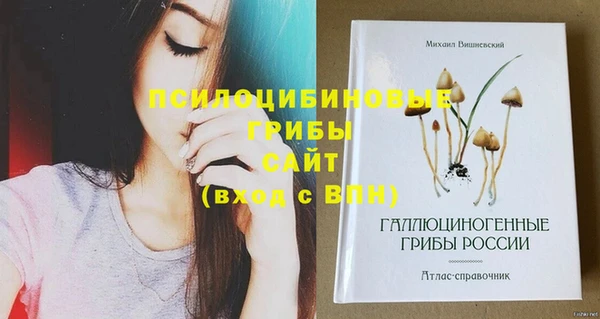 mdpv Арсеньев